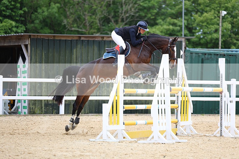 3E7A9577 - Class 9: Senior Foxhunter/1.20 open