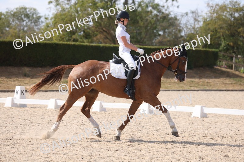 20260815-1140 - Class 6 - Novice 2