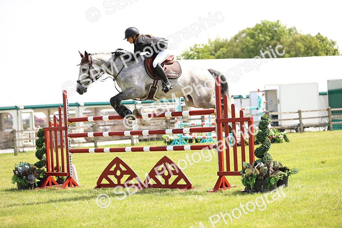 SBM_04003 - Class 201 - British Horse Feedds Speedi Beet HOYS Grade C