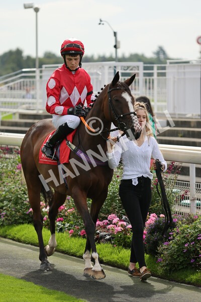 yr04092022p1-16 - 12.30pm 148cm Conditions Pony Race