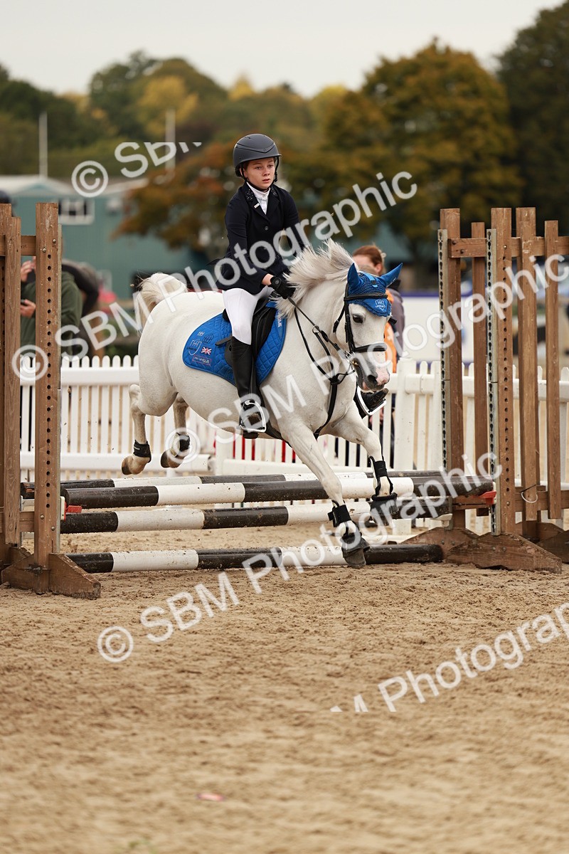 SBM_57951 - J11 - Junior Pony 50cm Championship