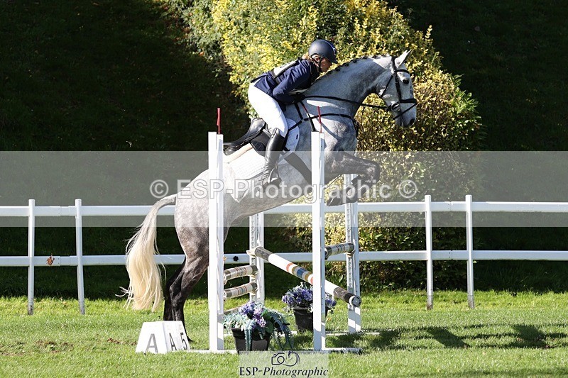 231022-143711-28243 - 445-CRUISING.BORO-Lucy.Knight-TrotUp+SJ