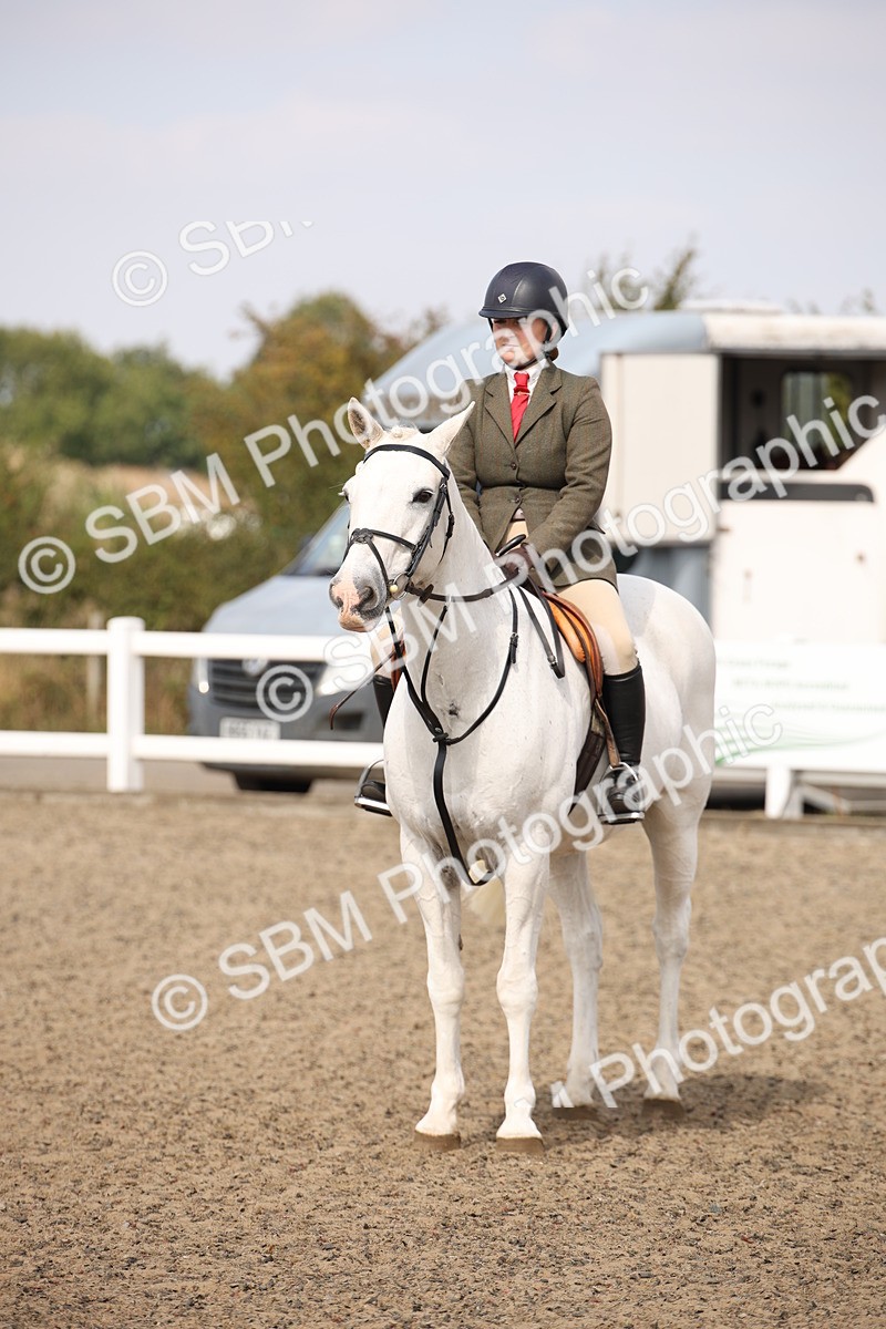 SBM_14232 - Class 407a - Working Veteran 60cm (15-19