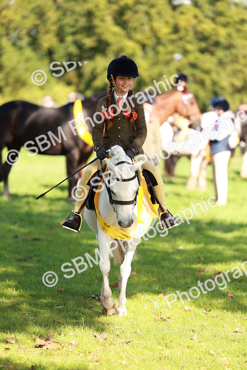 SBM_42152 - S32 - Mountain & Moorland Working Hunter Pony