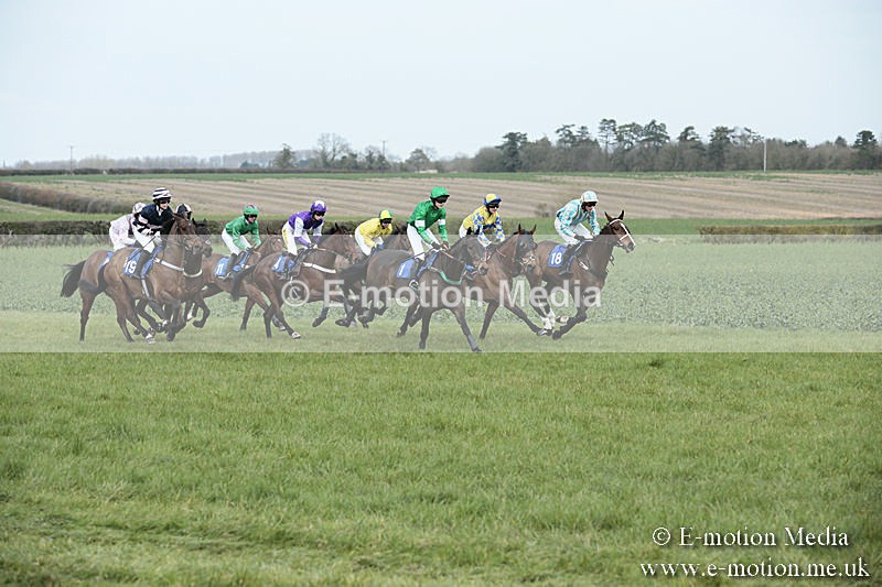 PtP 230319 151 - VWH Hunt Siddington Point-to-Point Racing 23/03/19