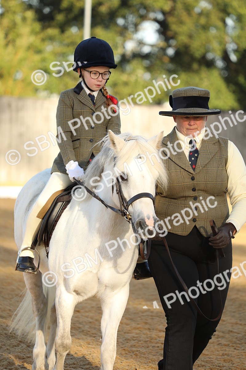 SBM_33592 - D26 - Starers - Lead Rein