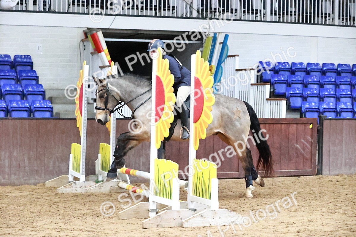 SBM_000618 - Class 2 - Show Jumping 50cm