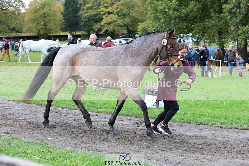 251026A-115830-25793 - F-463-Janine.Paterson