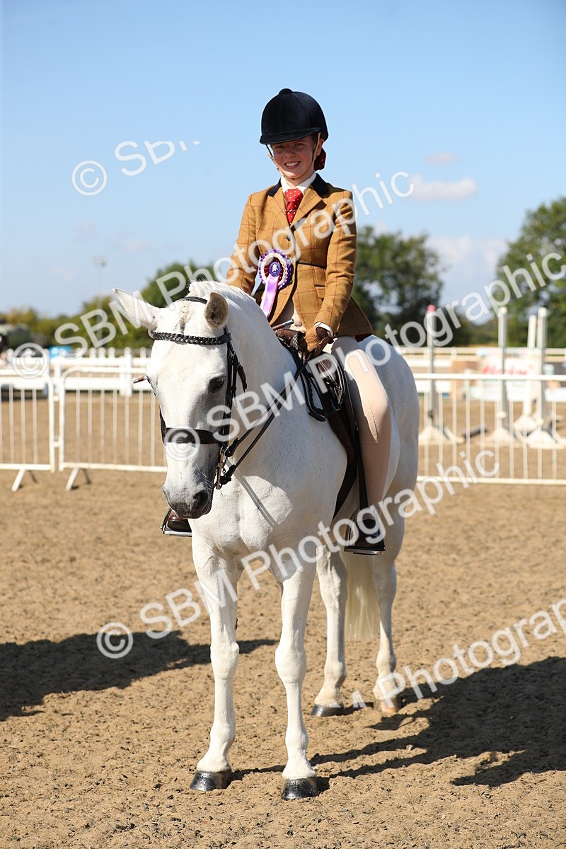 SBM_02400 - Class 43 Ridden Competition Horse/Pony