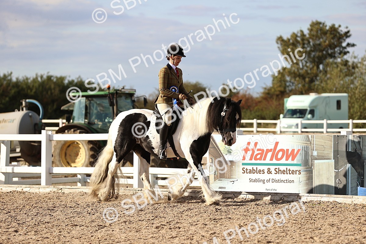 SBM_18297 - Class 423 - Equitation (best rider) Adult