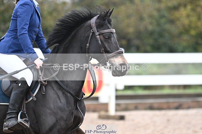231118A-091308-00273 - Cls 2 BlueChip Pony Novice Qualifier
