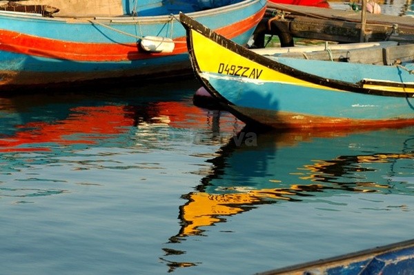 ZZ aveiro boat - Moliceiros