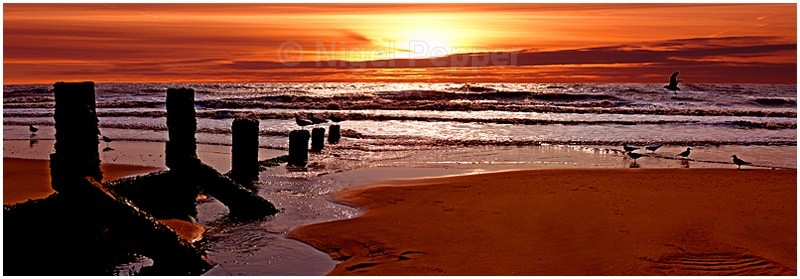 Incoming Tide - Sunrises and Sunsets