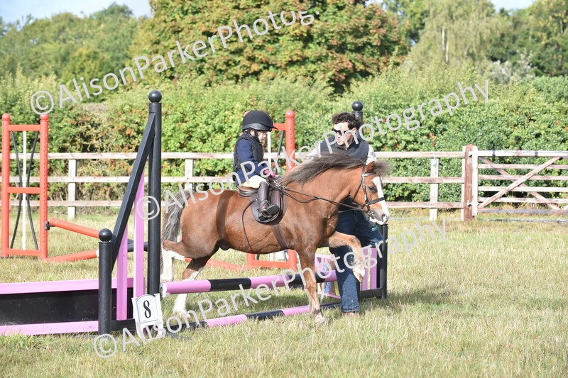 20250831-0247 - Class 6 - Minimus Jumping 30cm