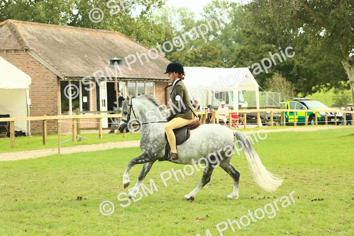 SBM_69866 - S59 - Mountain & Moorland Ridden Small Breeds