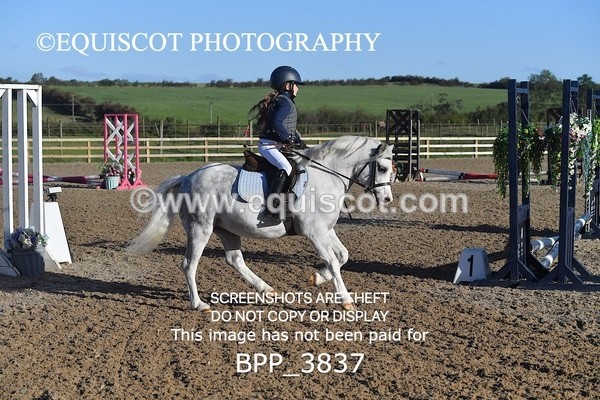 BPP_3837 - CLASS 0 Clear Round Show Jumping