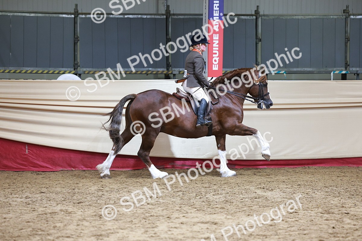 SBM_18734 - Class 952 - M&M Ridden Supreme Final