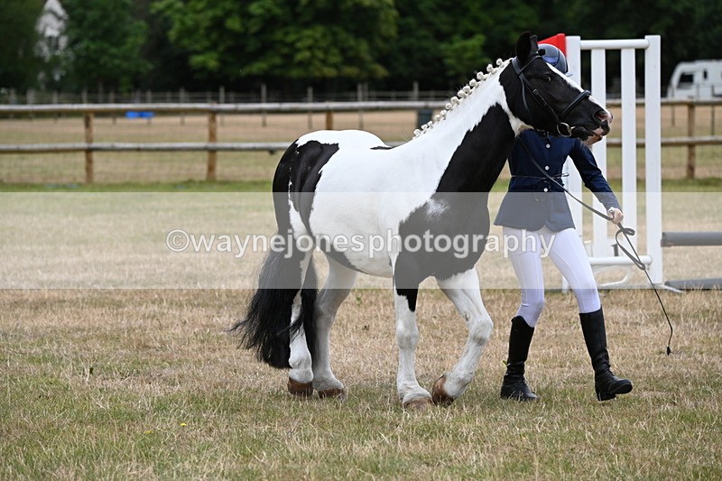 WJ6_4400 - Class 10 Coloured In-hand