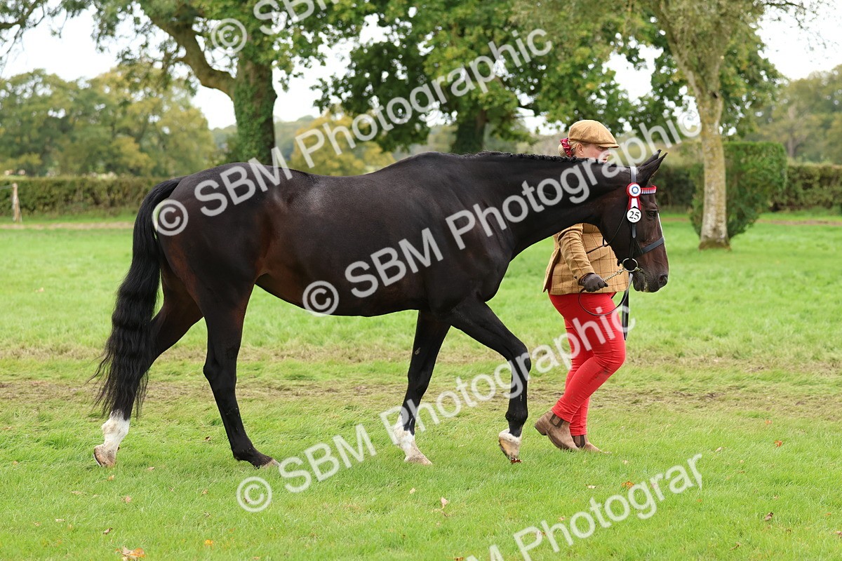 SBM_41695 - S26 - Mature Veteran In Hand