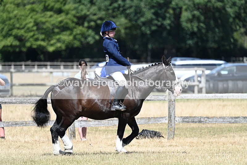 WJ7_3677 - Class 8 Ridden Veterans