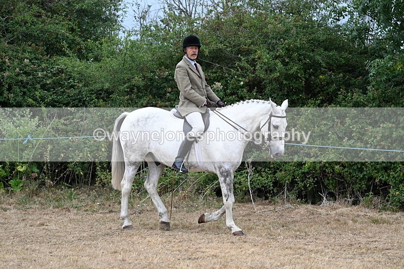 WJ7_0739 - Class 7 Riding Club Show Horse