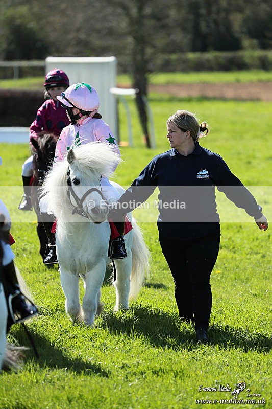 Shet 060426 215 - Shetland Pony Racing Paxford Races Easter Mon 06/04/26