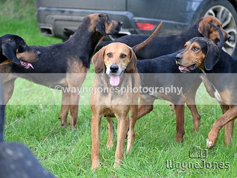 WJ7_5768 - Berks & Bucks at Trunkwell House 27-10-24