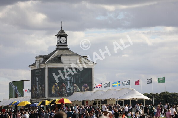 yr19082022r7-19 - Race 7 5.20pm Sky Bet Mile Stakes