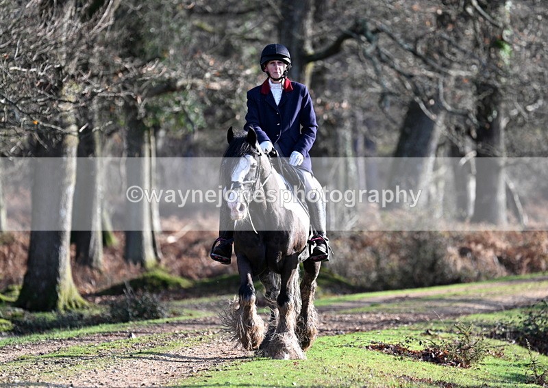 WJ7_7781 - Line 3 (no line 4 or 5)