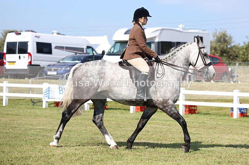3E7A6003 - Class 3: Rising Star S/L Hunter