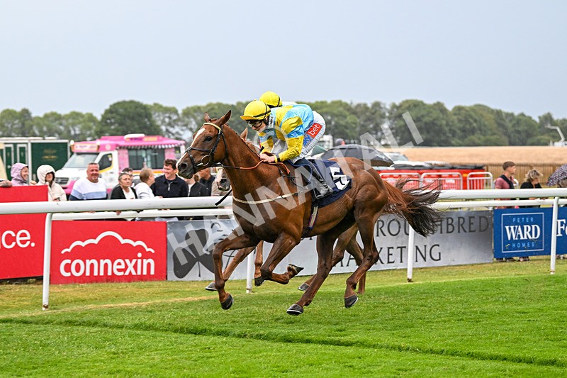 040725-Race 5-Dubai Venture-5610 - Race 5