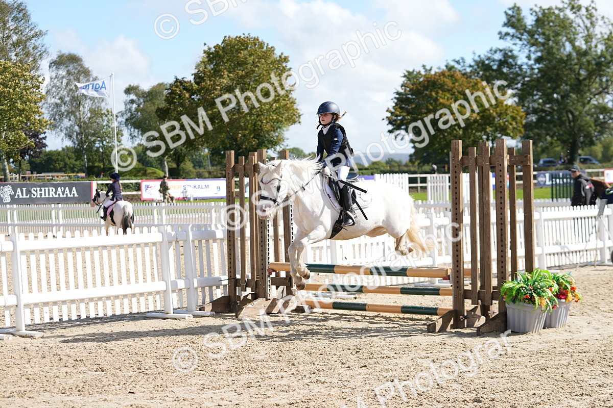 SBM_46538 - J7 - Junior Pony 60cm Championship