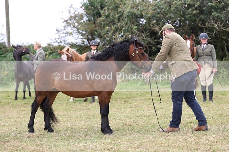 3E7A4746 - Class 16: Best Grass Kept