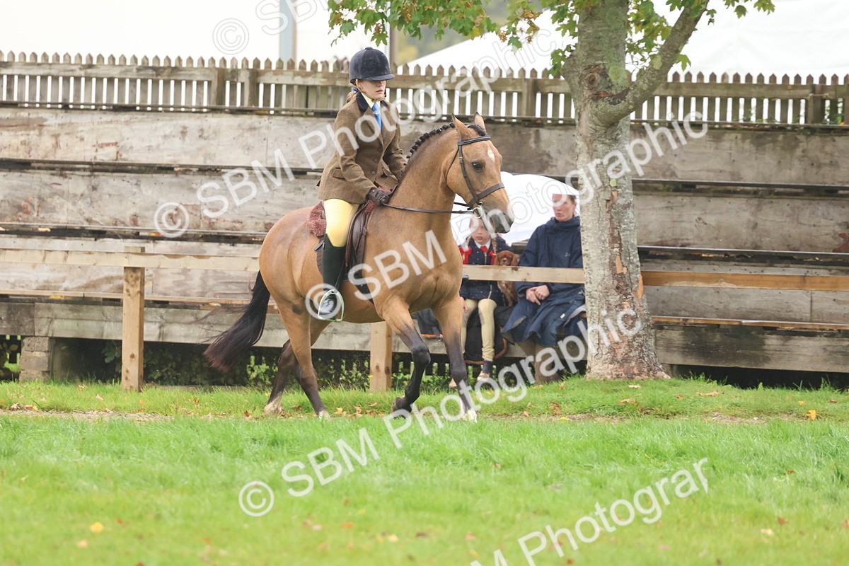 SBM_73037 - S63 Show Pony & Show Hunter Pony Ridden