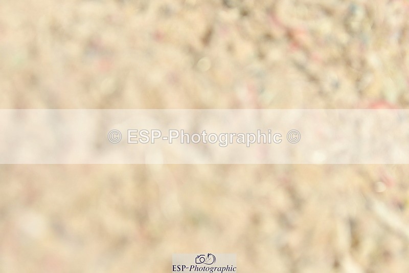 230701A-141417-07556 - Cls 16+18 FEI PSG + Inter I