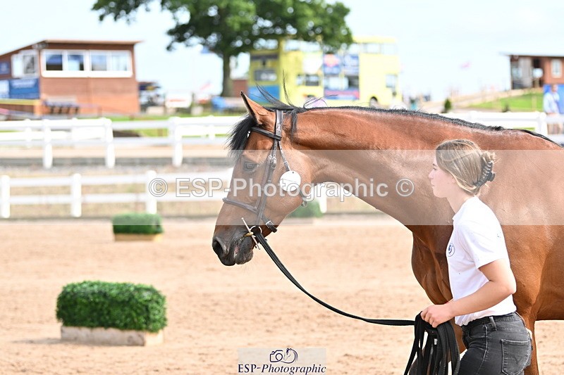 240717A-162323-03438 - Trot Up 4pm to 5pm