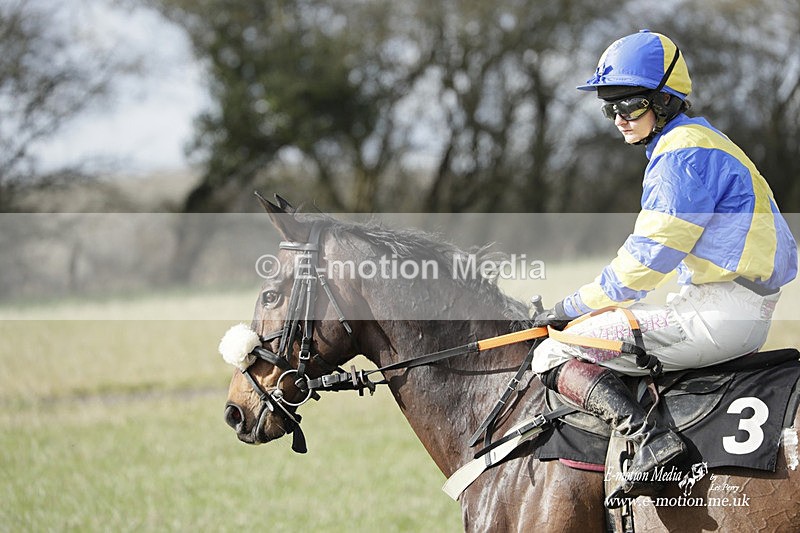 PtP 180323 664 - Shelfield Park Races with Croome & West Warwickshire Hunt  18/03/23
