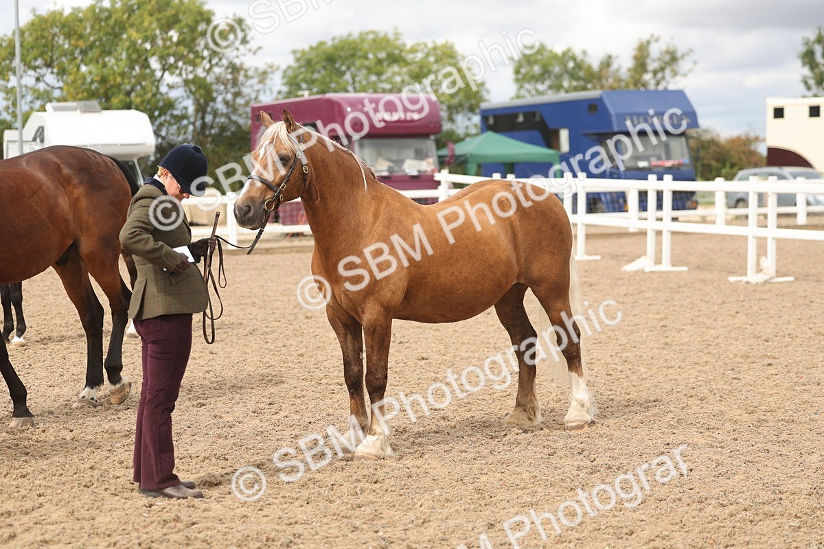 SBM_05027 - Class 20 - IH Veteran