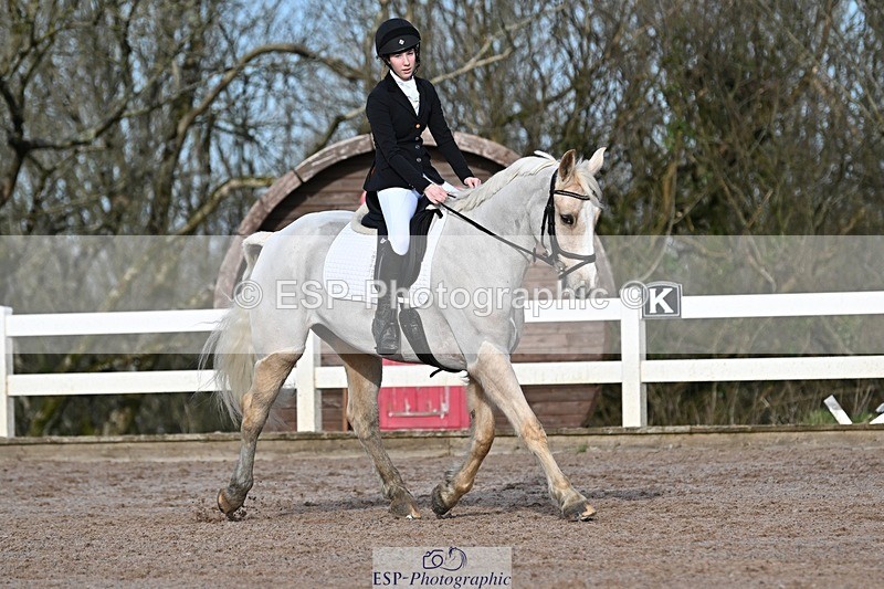 250125-111421-00293 - Dressage - CT Class 5 BE95 (90cm)