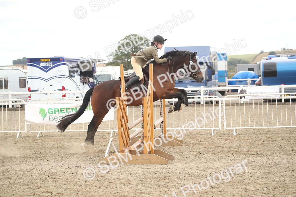 SBM_17906 - Class 508b - Working Veteran 70cm (20+)