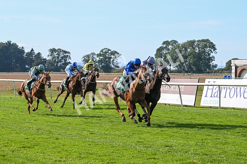 160924-Race 4-Watching Stars-2873 - Race 4