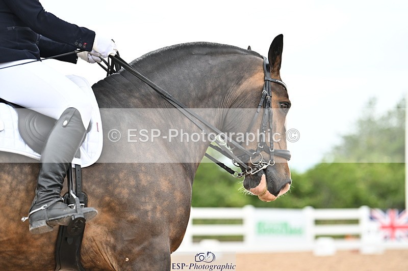 240623A-151515-19524 - Cls 51 BD Elementary 53