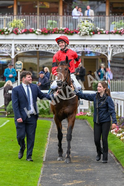 101025-Race 6-Dan Tucker-0504 - Race 6 Copper Knight Winning-Most Horse Handicap at York