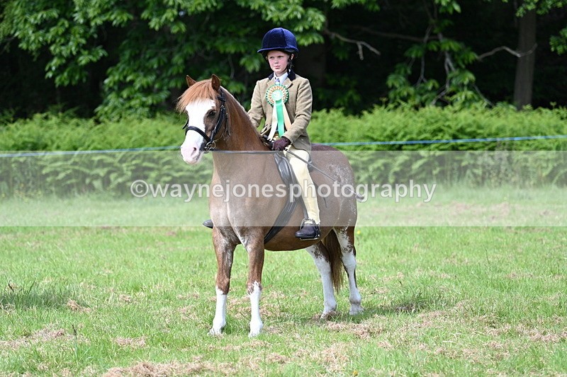 WJ7_0965 - Class 8 First Rally Pony