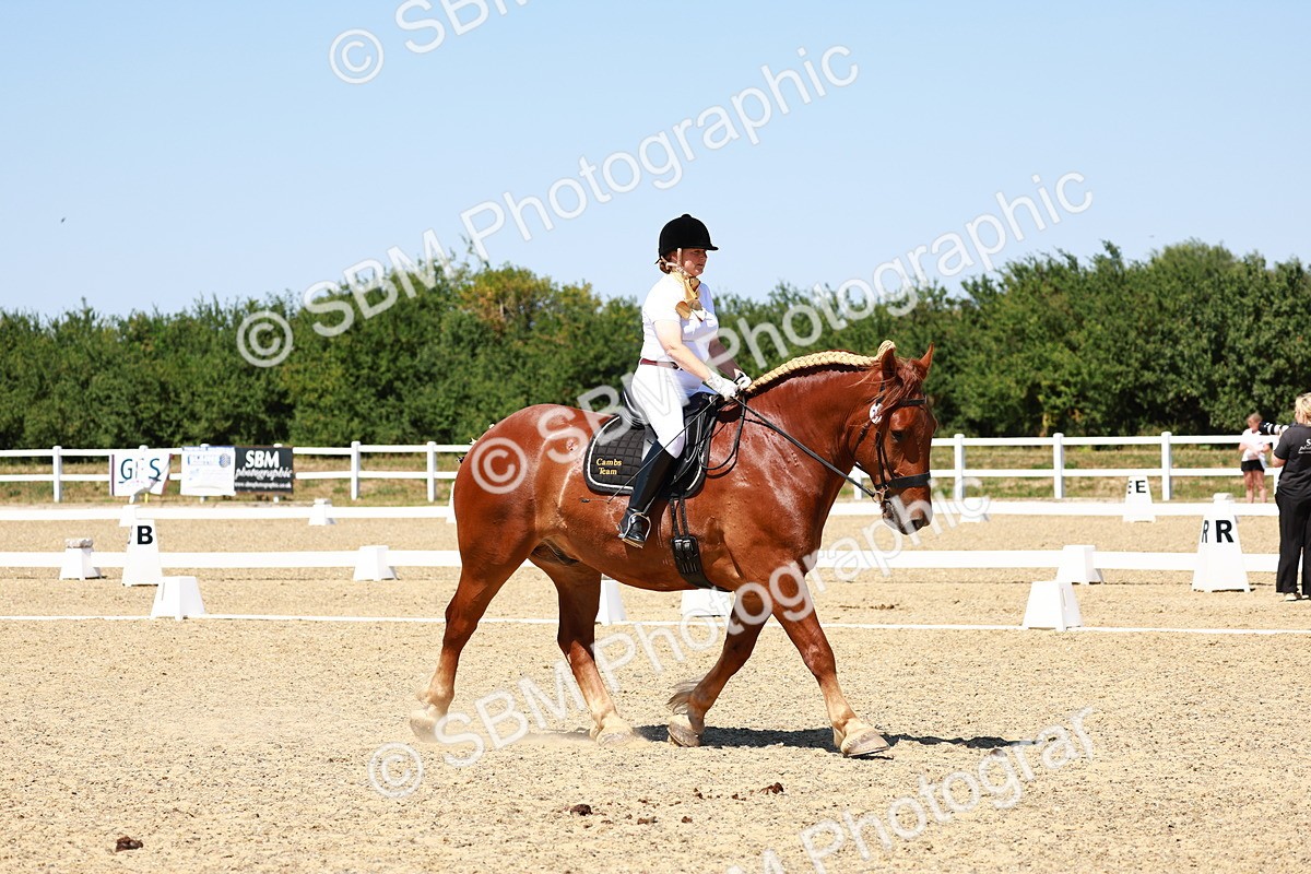 SBM_011797 - Intro 3 - 13.00-14.10