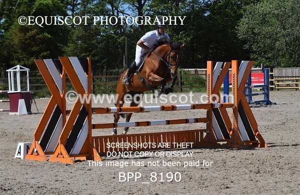 BPP_8190 - CLASS 4 Senior Discovery/ 1m Open