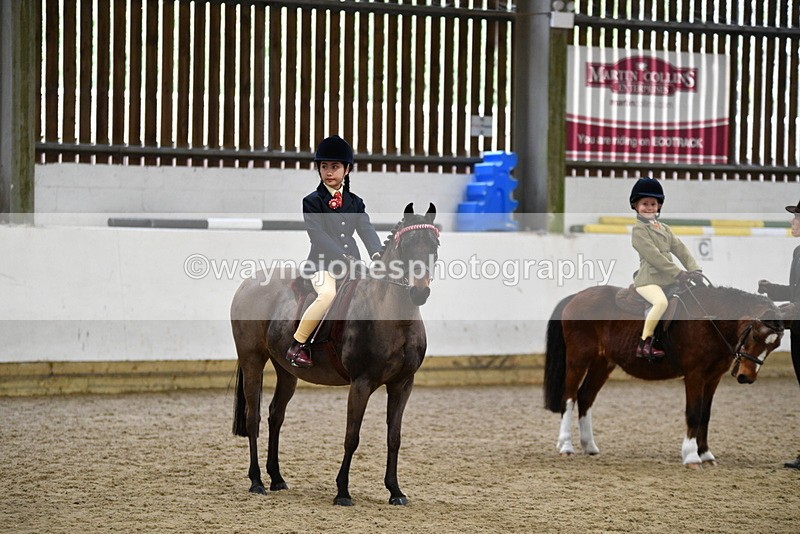 WJ5_7058 - Class 10 Childs Pony