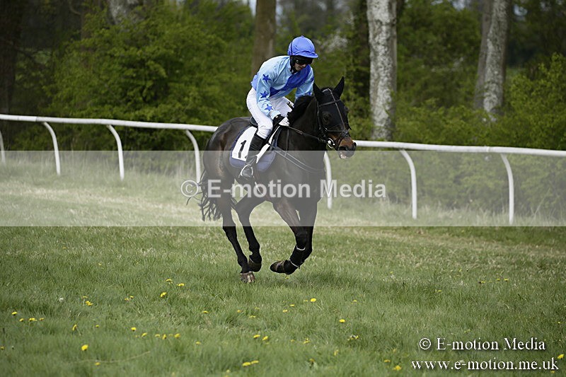 PtP 170417 60 - Old Berks Point-to-Point Lockinge 17/04/17