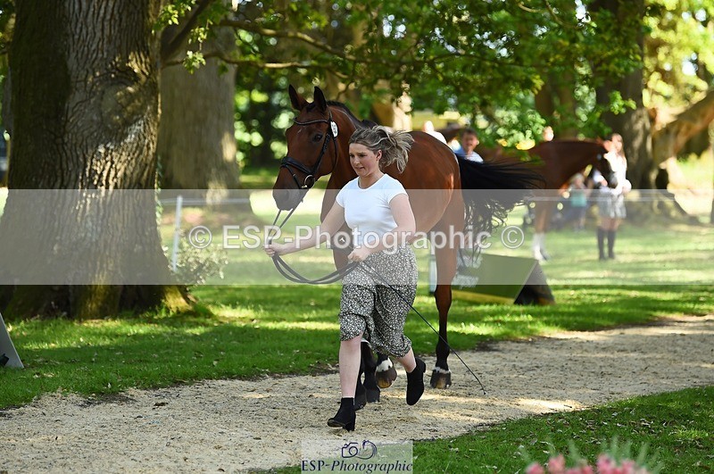 230524-160612-00678 - 253-MY_EASTWOOD_BRIGHTSIDE-Darcy_Zander-WEDTrotUp+DR