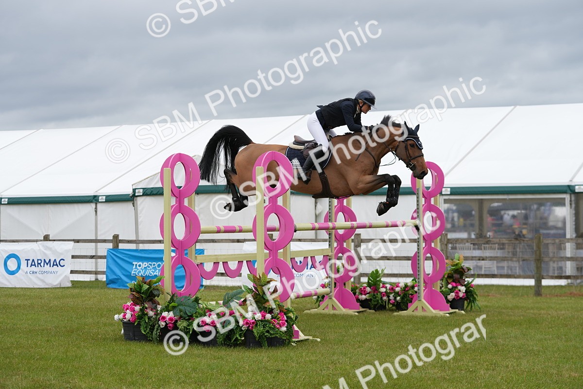 SBM_03391 - Class 201 - British Horse Feeds Speedi Beet Horse of the Year Show Grade  C